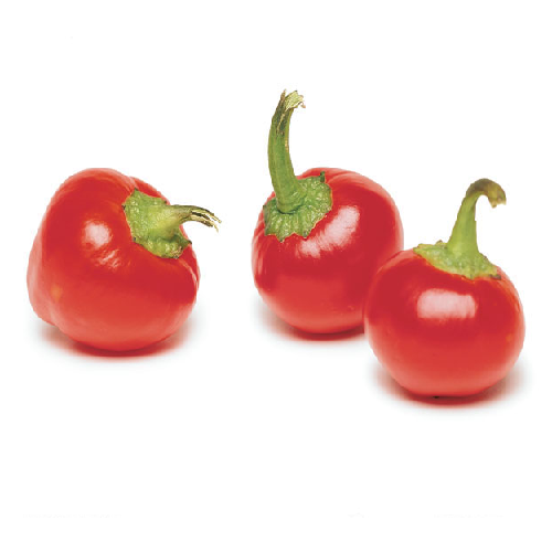 Round Chilli ( Big )